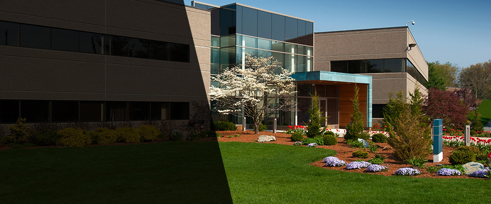 Allenton Landscapers