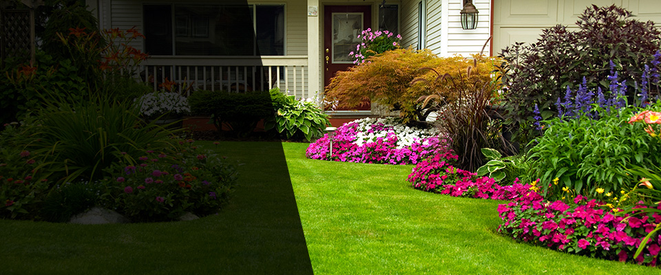 Allenton Landscapers