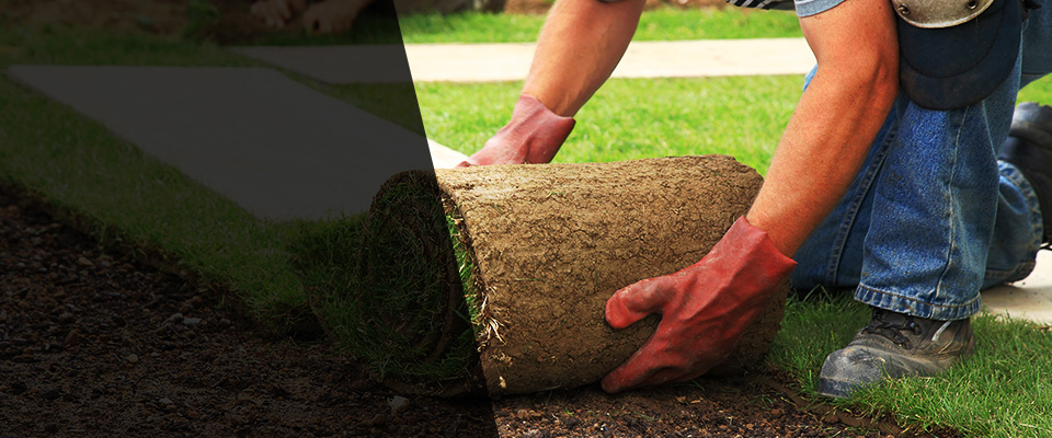 Allenton Landscapers
